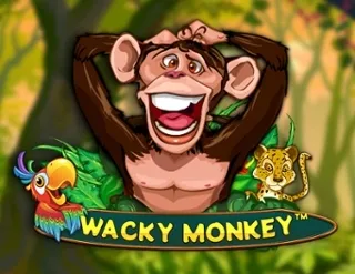 Wacky Monkey